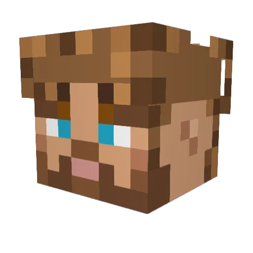 Curbolicious Minecraft avatar head, 3D render