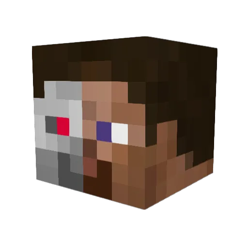 CureNeta Minecraft avatar head, 3D render