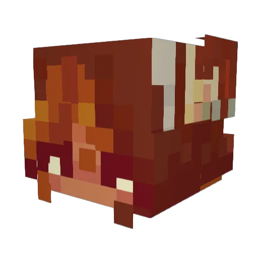 CureTea Minecraft avatar head, 3D render