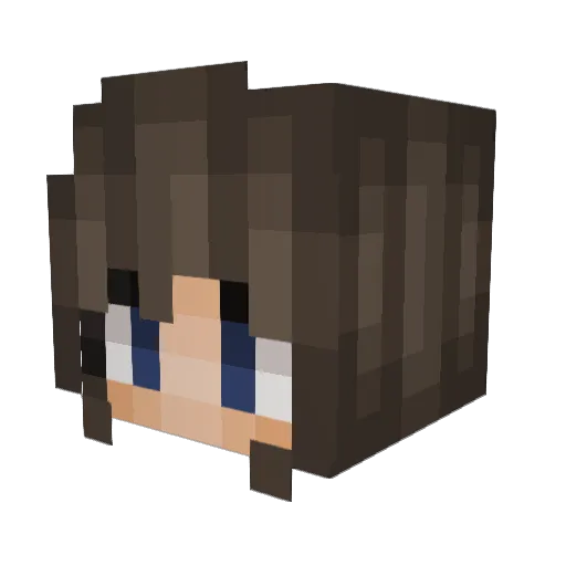 Curebird Minecraft avatar head, 3D render