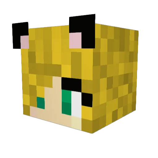 CuriousCat03 Minecraft avatar head, 3D render