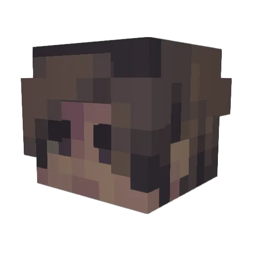 Curiousjams Minecraft avatar head, 3D render