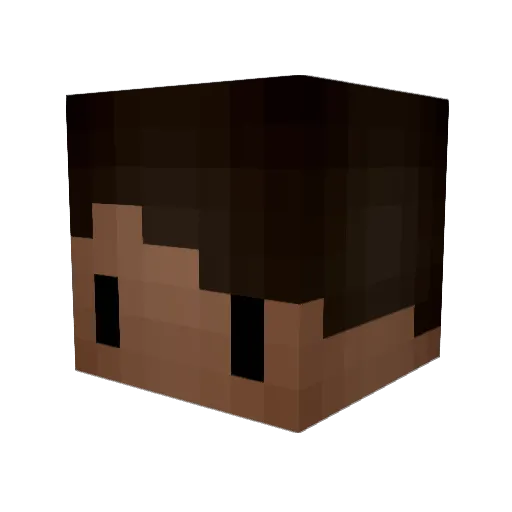 CurlyFriez202 Minecraft avatar head, 3D render