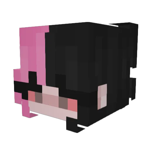 CurlyFry2003 Minecraft avatar head, 3D render