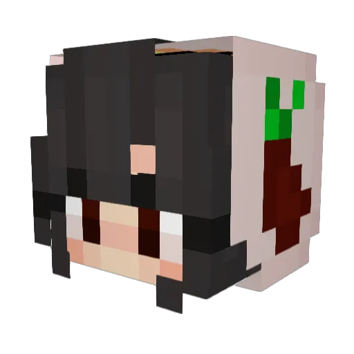 CurlyGirl353 Minecraft avatar head, 3D render