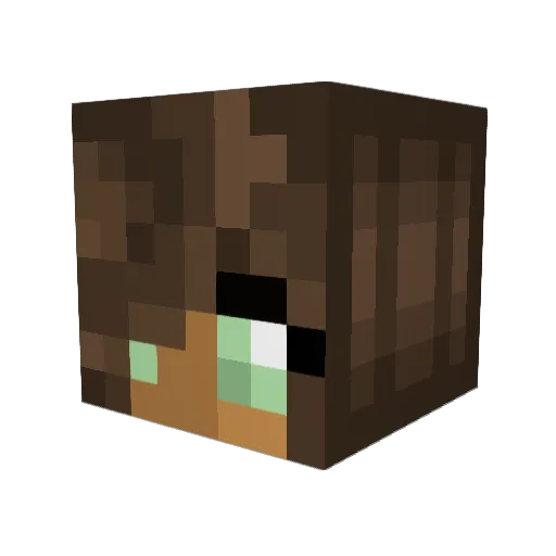 CurlyT0p5 Minecraft avatar head, 3D render