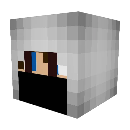 Curly_Afro Minecraft avatar head, 3D render