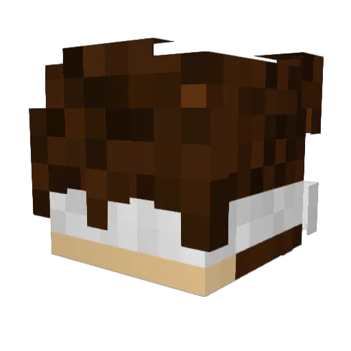 CurrentSquad Minecraft avatar head, 3D render