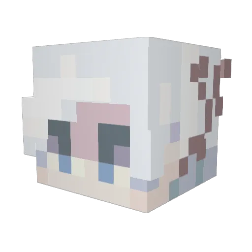 CurrentlyOkay Minecraft avatar head, 3D render