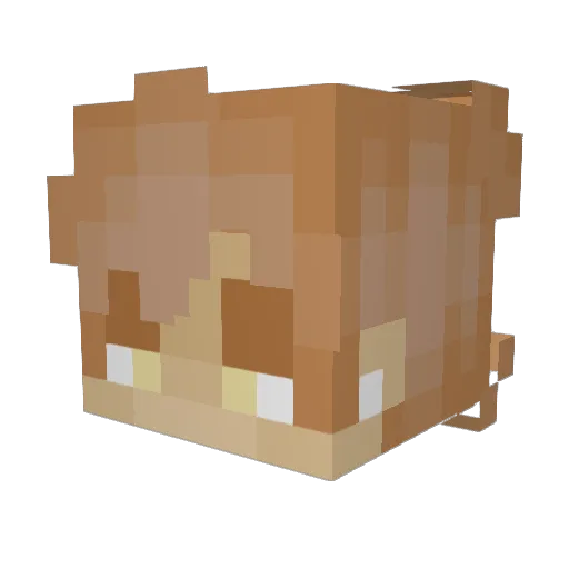 Currpaii Minecraft avatar head, 3D render