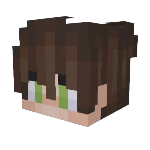 Currupted11 Minecraft avatar head, 3D render