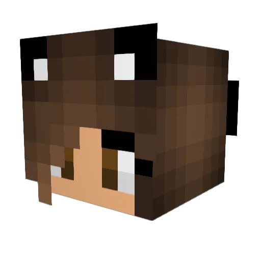 CurryCat7 Minecraft avatar head, 3D render