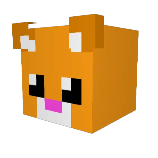 CurryMonstaNACHO Minecraft avatar head, 3D render