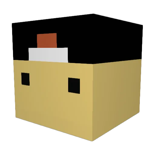 Currykinglp Minecraft avatar head, 3D render