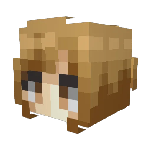 CurseMark7 Minecraft avatar head, 3D render