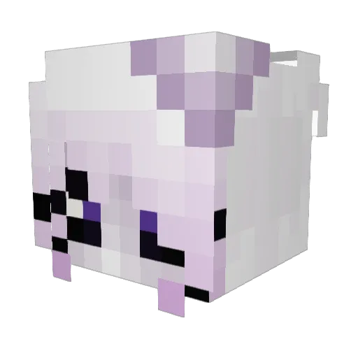CursedVessel Minecraft avatar head, 3D render
