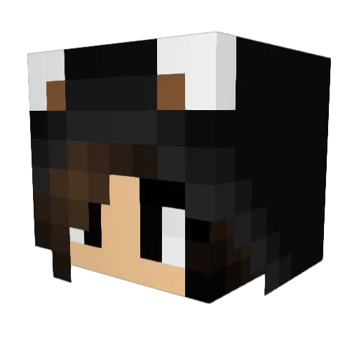 Curserapper Minecraft avatar head, 3D render