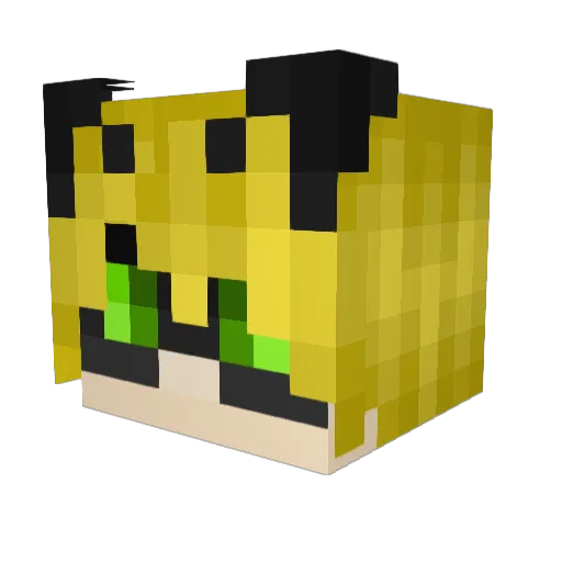 Curtis032 Minecraft avatar head, 3D render
