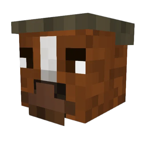 Curtis333 Minecraft avatar head, 3D render
