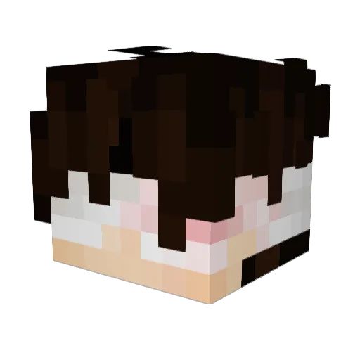CurtisNYL Minecraft avatar head, 3D render