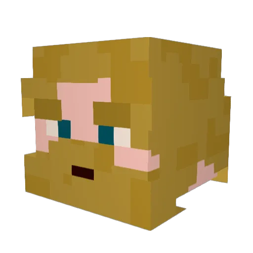 CurtleTurtle99 Minecraft avatar head, 3D render