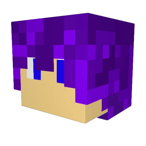 Custom1191 Minecraft avatar head, 3D render
