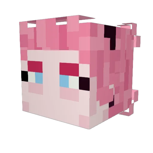 CustomJar Minecraft avatar head, 3D render