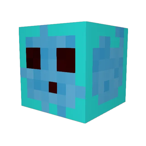 Custom_Username Minecraft avatar head, 3D render
