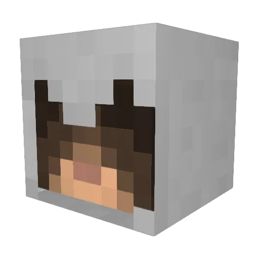 Customworks Minecraft avatar head, 3D render