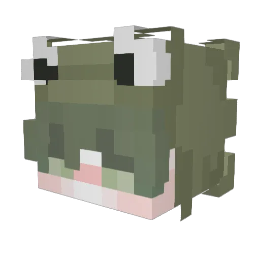Cut3Name Minecraft avatar head, 3D render