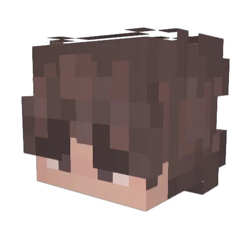 CutMeOpen Minecraft avatar head, 3D render