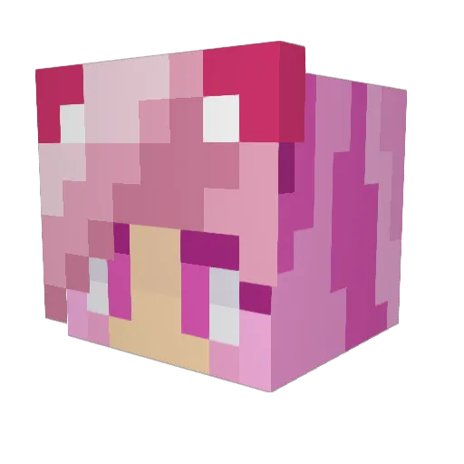 CuteAndToasty Minecraft avatar head, 3D render