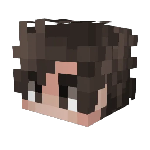 CuteBojangles Minecraft avatar head, 3D render