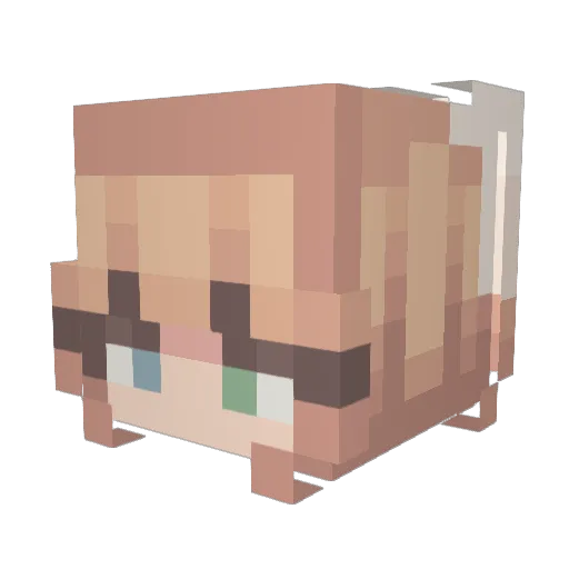 CuteBunny9952 Minecraft avatar head, 3D render