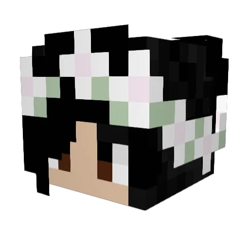 CuteCat3000 Minecraft avatar head, 3D render