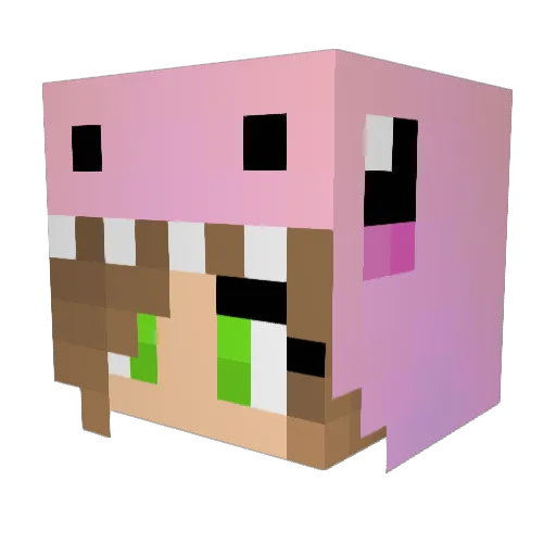 CuteDino2015 Minecraft avatar head, 3D render
