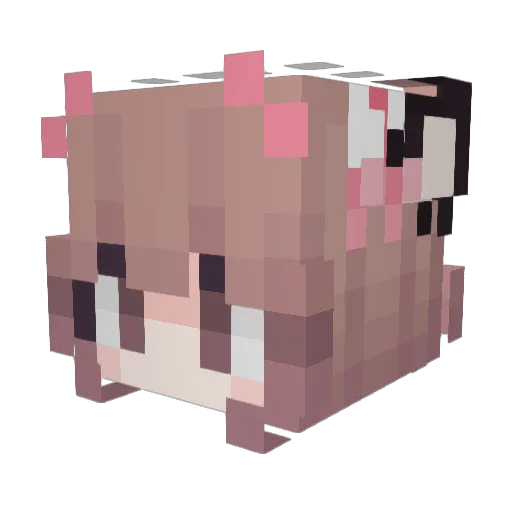 CuteFloofy Minecraft avatar head, 3D render