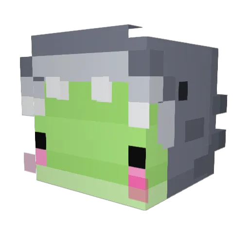 CuteFr0ggie Minecraft avatar head, 3D render