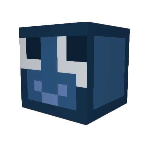 CuteHackerrFC Minecraft avatar head, 3D render