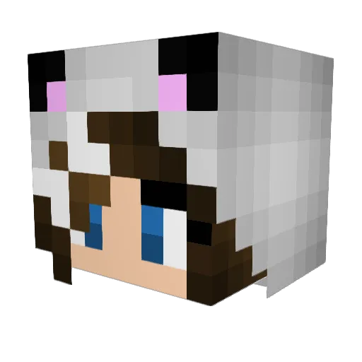 CuteLazyRainbow Minecraft avatar head, 3D render