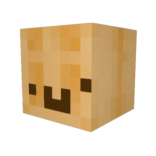 CuteLilFish Minecraft avatar head, 3D render