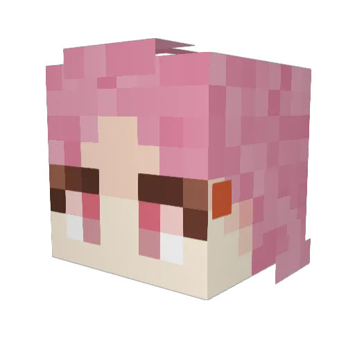 CuteLittleTrash Minecraft avatar head, 3D render