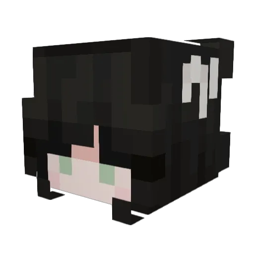 CuteLumberman Minecraft avatar head, 3D render
