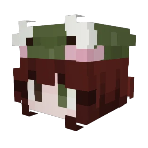 CuteOrangeFrog Minecraft avatar head, 3D render