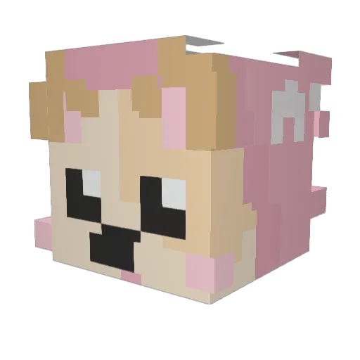 CuteSangGu Minecraft avatar head, 3D render