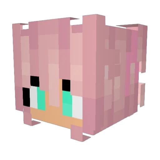 CuteSarahX Minecraft avatar head, 3D render