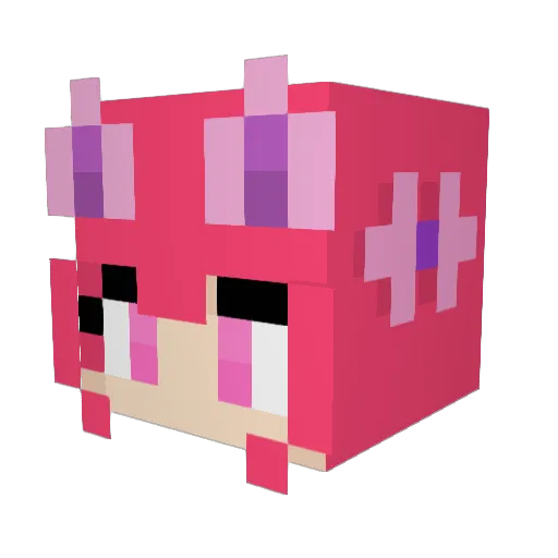 CuteSkitty17 Minecraft avatar head, 3D render