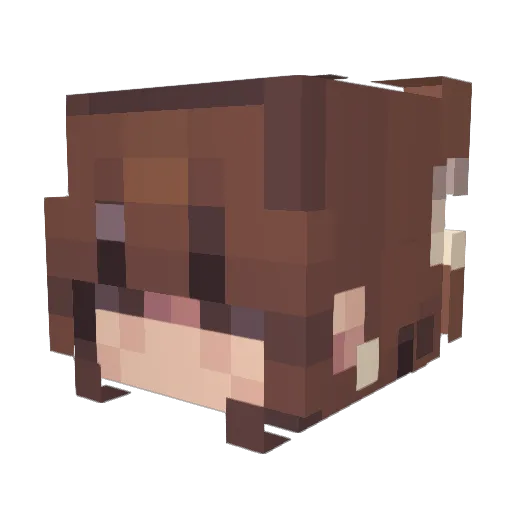 CuteUnicorn34 Minecraft avatar head, 3D render