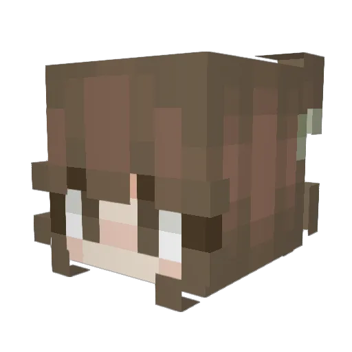 Cute_Crashersxx Minecraft avatar head, 3D render