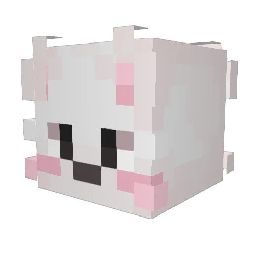 Cute_FemboyFurry Minecraft avatar head, 3D render